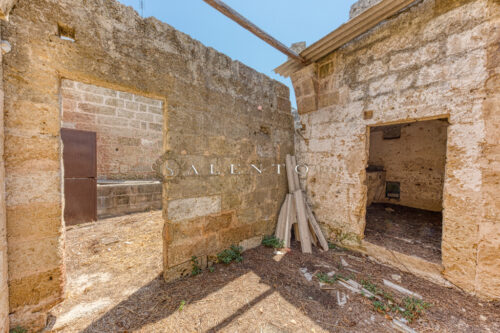 gallery slide