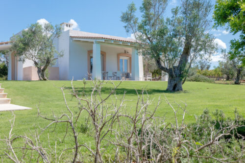 Salento villa con piscina in vendita