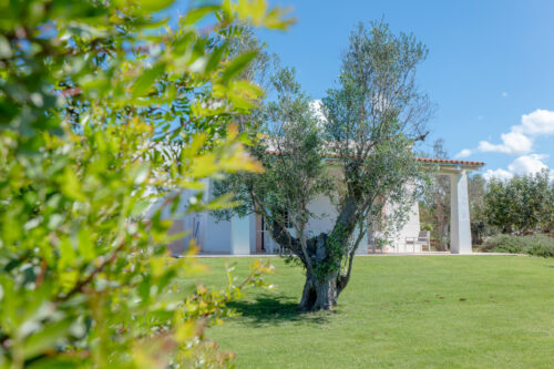 Salento villa con piscina in vendita