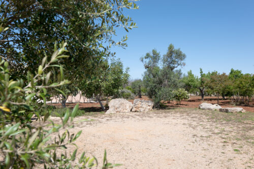 Salento villa con piscina in vendita