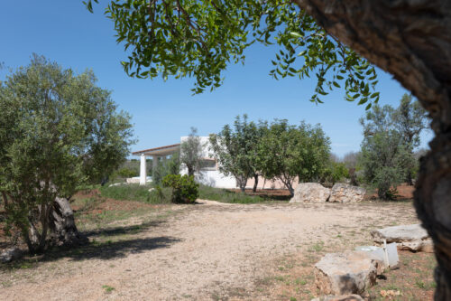 Salento villa con piscina in vendita