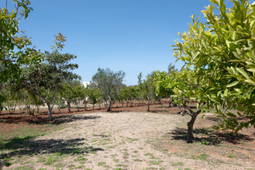Salento villa con piscina in vendita