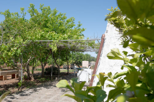 Salento villa con piscina in vendita