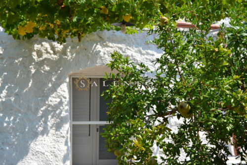 Salento villa con piscina in vendita