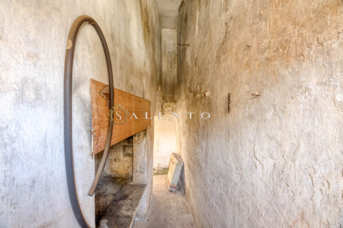 gallery slide