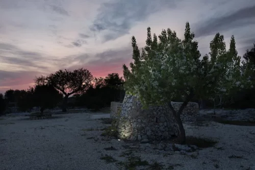 Antica masseria con piscina