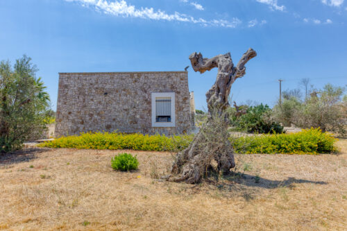 Villa con piscina in Puglia