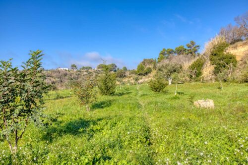 Casa in campagna a Pescoluse
