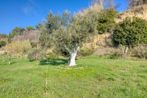 Casa in campagna a Pescoluse