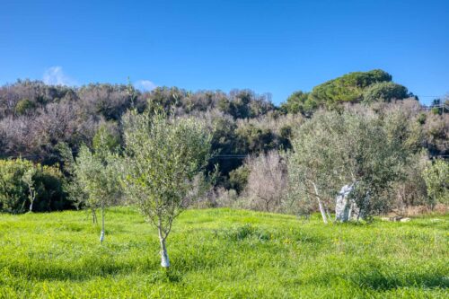 Casa in campagna a Pescoluse