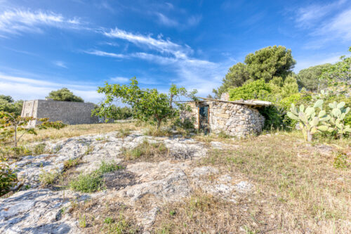 Trullo salentino Morciano di Leuca