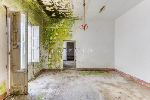 Casa indipendente con giardino