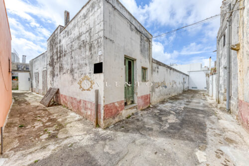 Casa indipendente con giardino