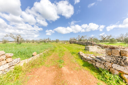 Terreno edificabile Salve