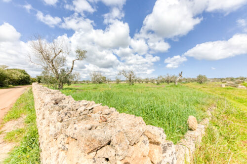 Terreno edificabile Salve
