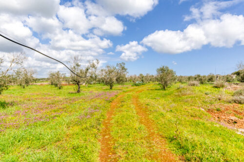 Terreno edificabile Salve