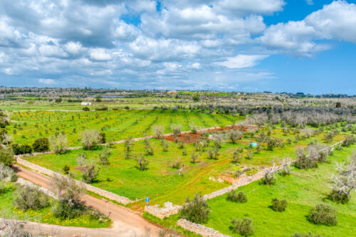 Terreno edificabile Salve