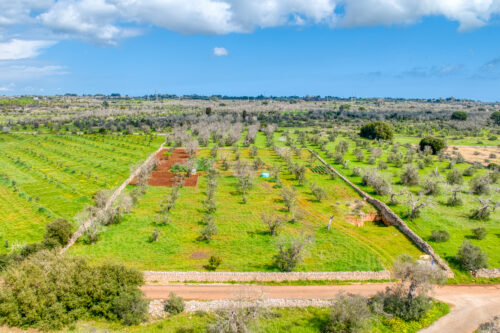 Terreno edificabile Salve