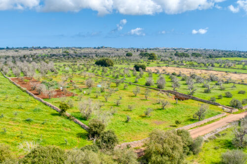 Terreno edificabile Salve