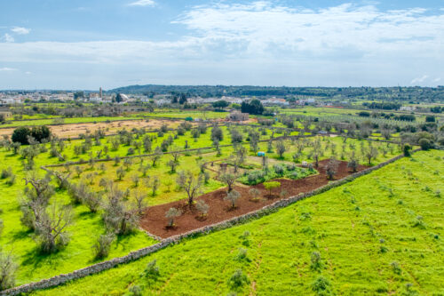 Terreno edificabile Salve