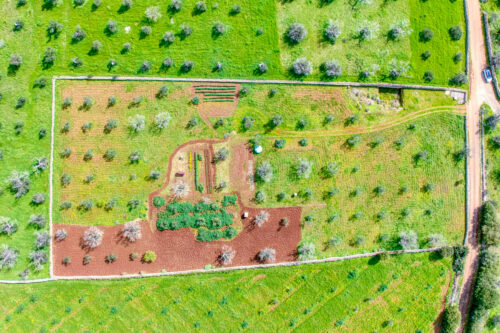 Terreno edificabile Salve