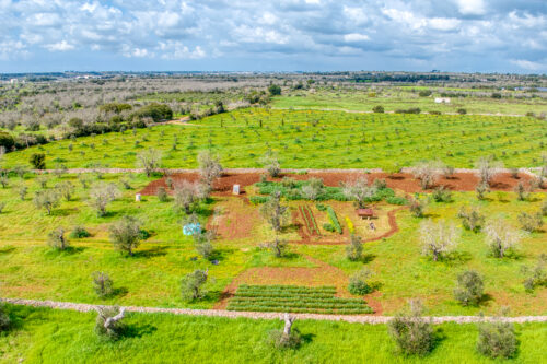 Terreno edificabile Salve