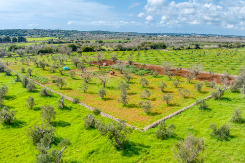 Terreno edificabile Salve