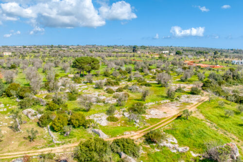 Terreno edificabile Morciano di Leuca