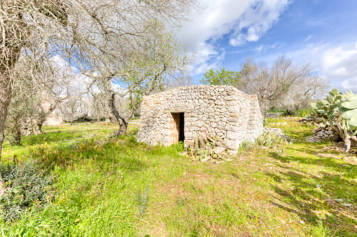 Terreno edificabile in Salento