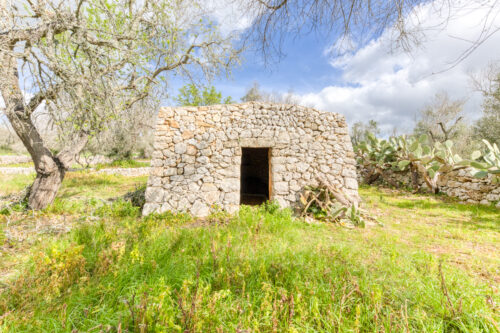 Terreno edificabile in Salento