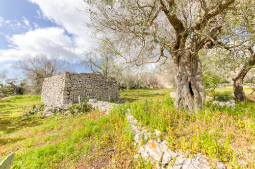 Terreno edificabile in Salento