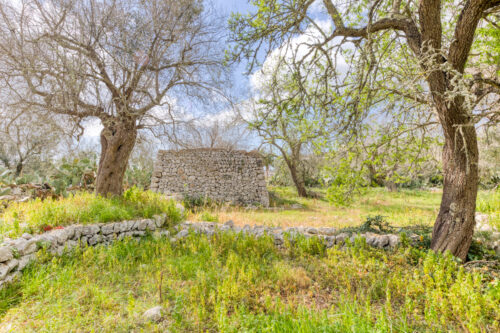Terreno edificabile in Salento