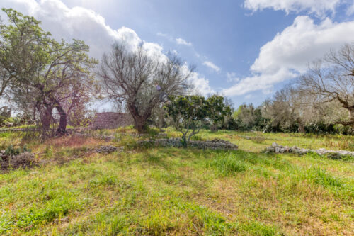 Terreno edificabile in Salento