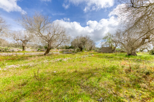 Terreno edificabile in Salento