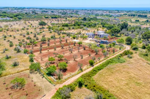 Trullo con progetto Morciano di Leuca