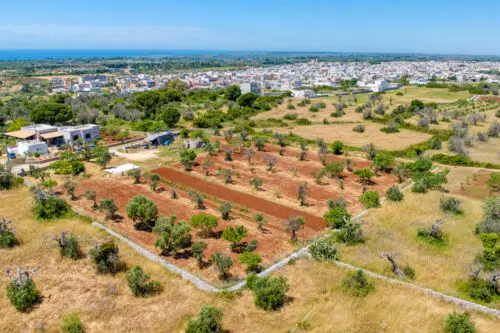 Trullo con progetto Morciano di Leuca