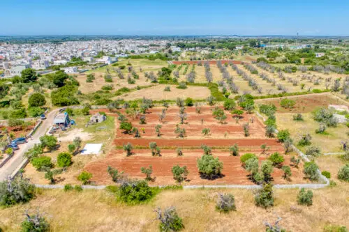 Trullo con progetto Morciano di Leuca
