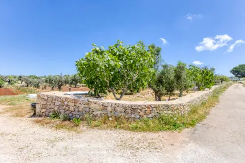 Trullo con progetto Morciano di Leuca