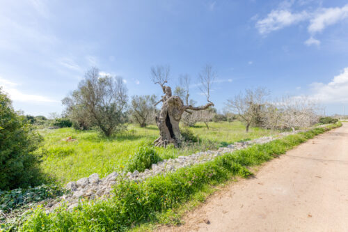 Villa in vendita Morciano di Leuca